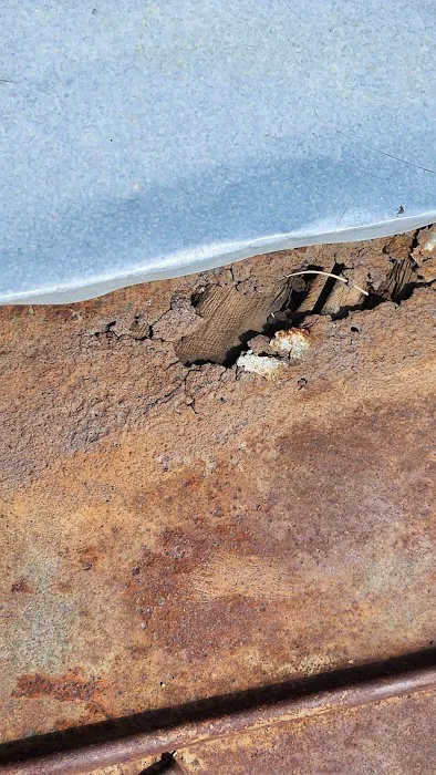 One&Done, LLC Picture 7