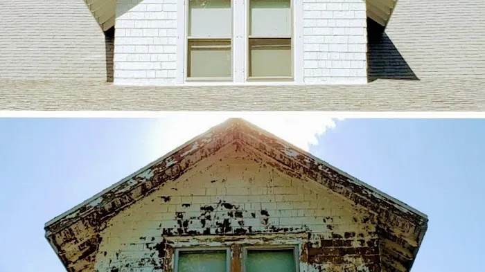 Cook Co. Paint Pro Picture 3