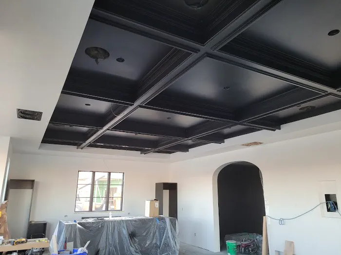 Cook Co. Paint Pro Picture 2