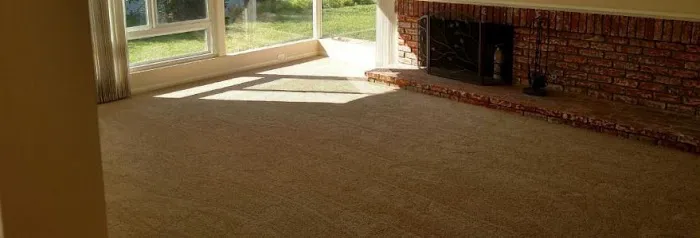 Carpet Cleaning Bismarck Picture 7