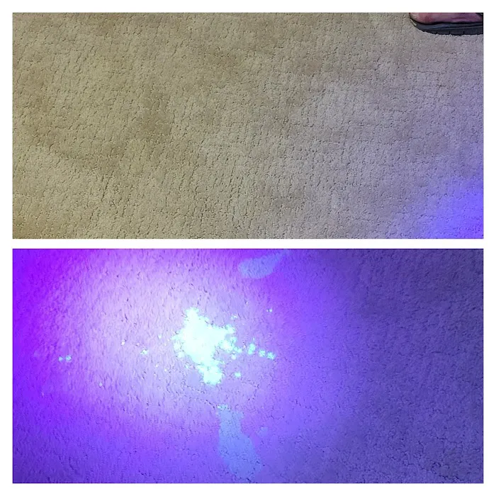 Home Savers Restoration of Minot Picture 3