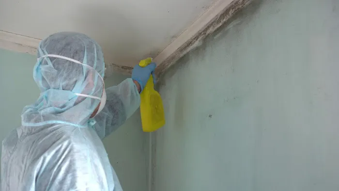 Minot Mold Squad Picture 4