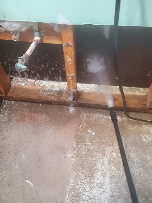 Minot Mold Squad Picture 2