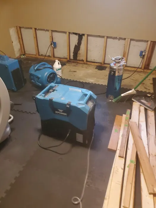 Minot Mold Squad Picture 1