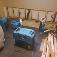 Minot Mold Squad ico