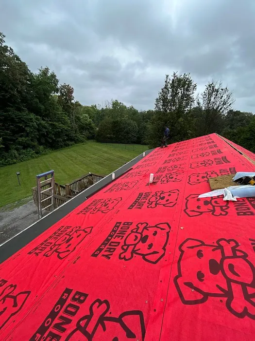 Bone Dry Roofing Picture 2