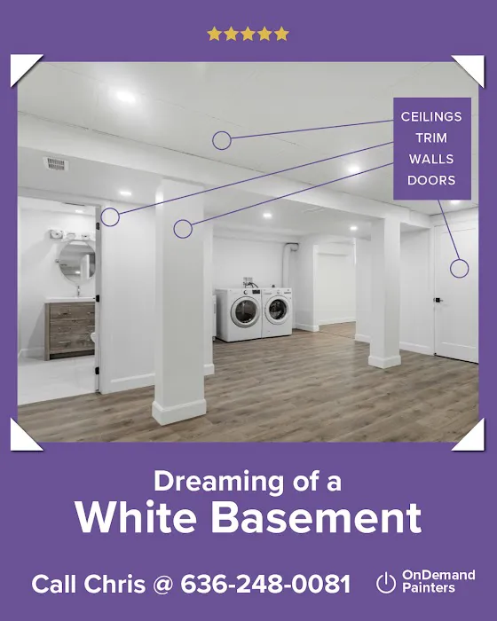 OnDemand Painters Picture 10