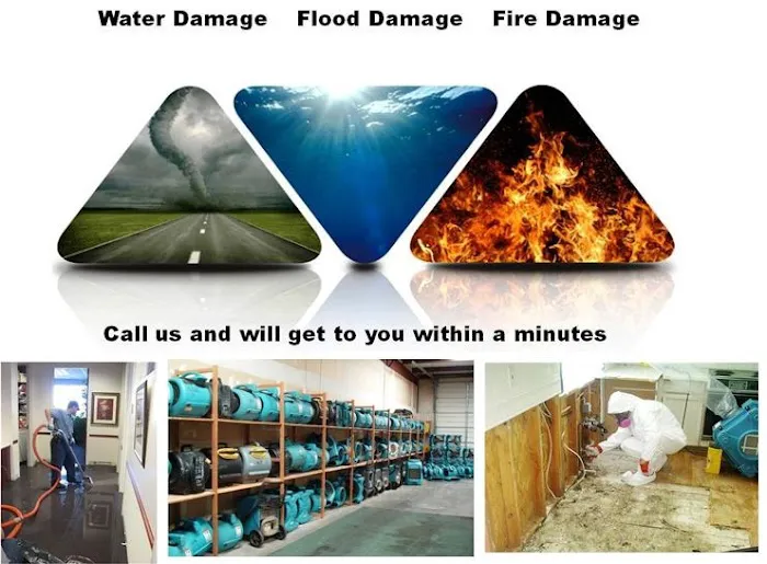 No. 1 Cleaners Picture 7