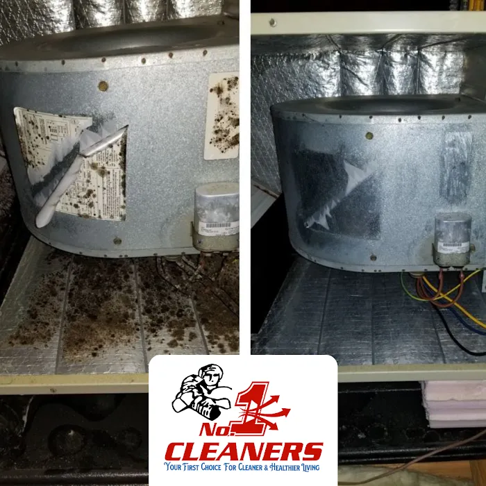 No.1 Cleaners Picture 6