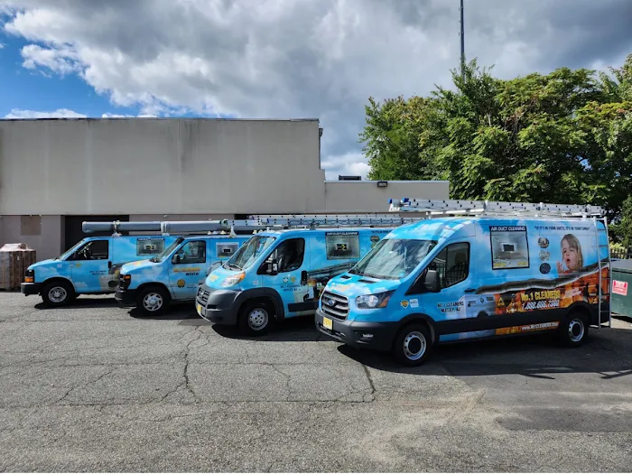 No.1 Cleaners Picture 3