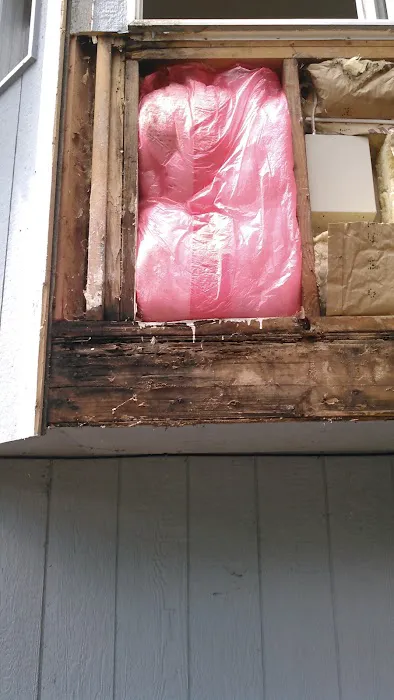 Clean Green Restoration Picture 8