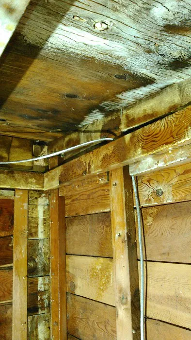 Clean Green Restoration Picture 3