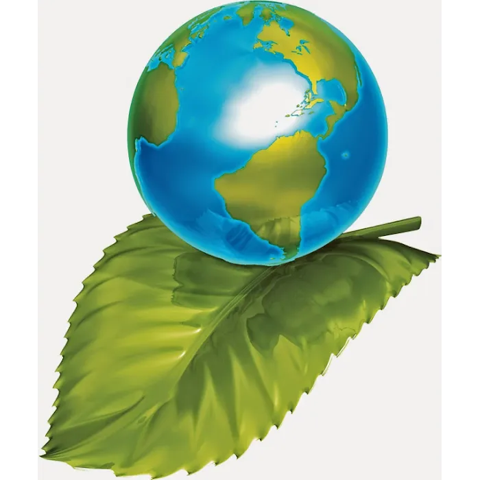 Clean Green Restoration Picture 2