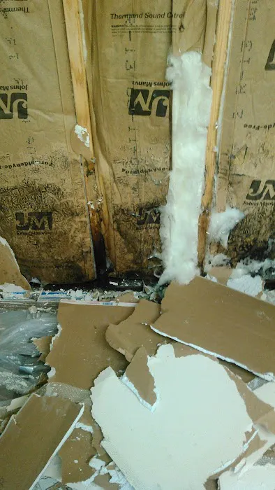 Clean Green Restoration Picture 5