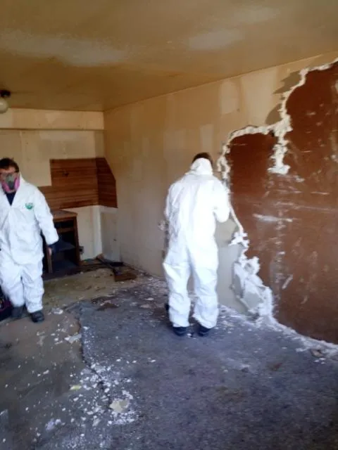 Clean Green Restoration Picture 4