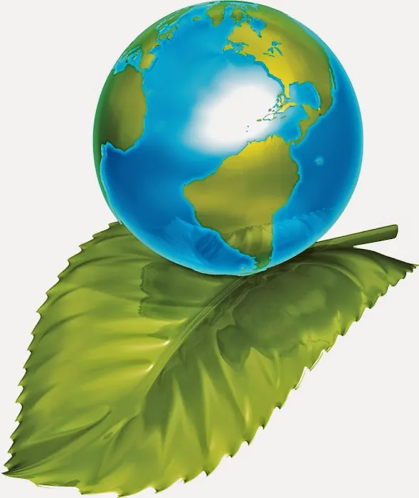 Clean Green Restoration Picture 10