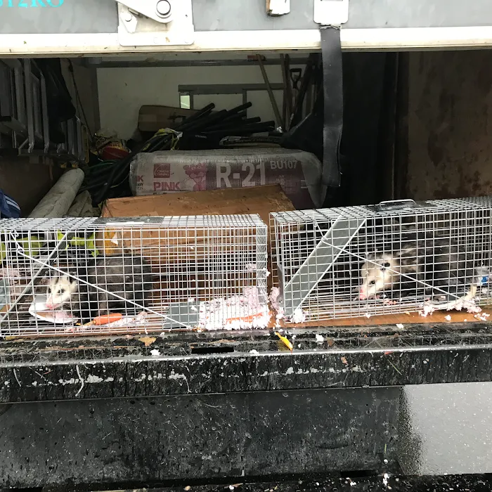 Northwest Crawl Space Services Picture 7