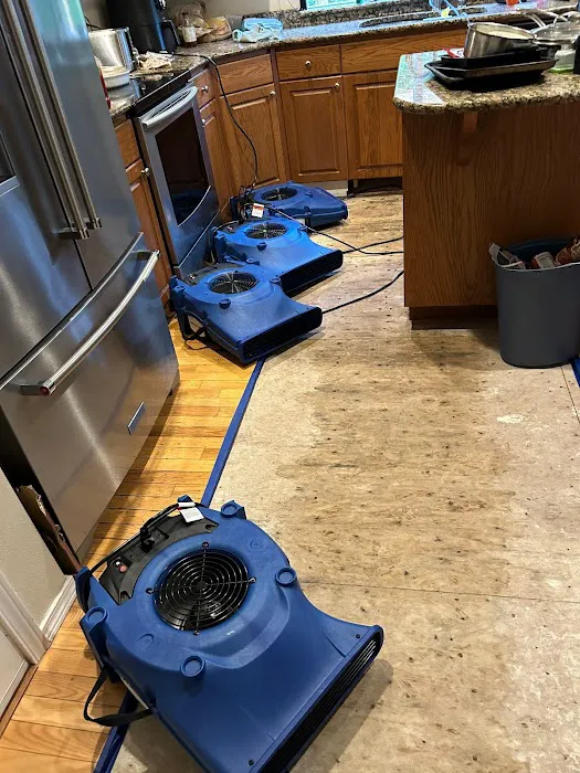 Expert, LLC Picture 4