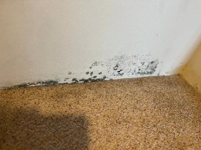 Expert, LLC Picture 5