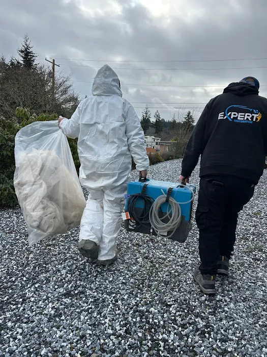 Expert, LLC Picture 10