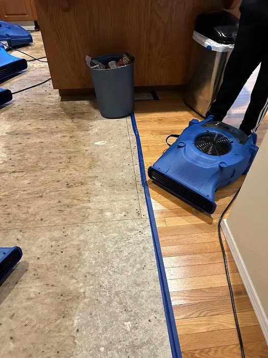 Expert, LLC Picture 3