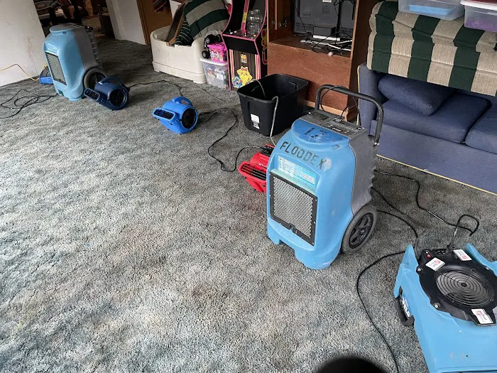 Prosteam services LLC Picture 3