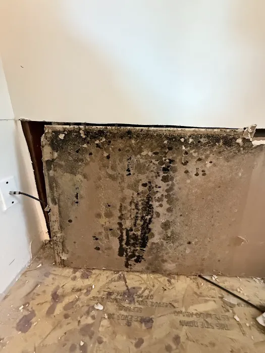 Hydro Heroes Experts Picture 9