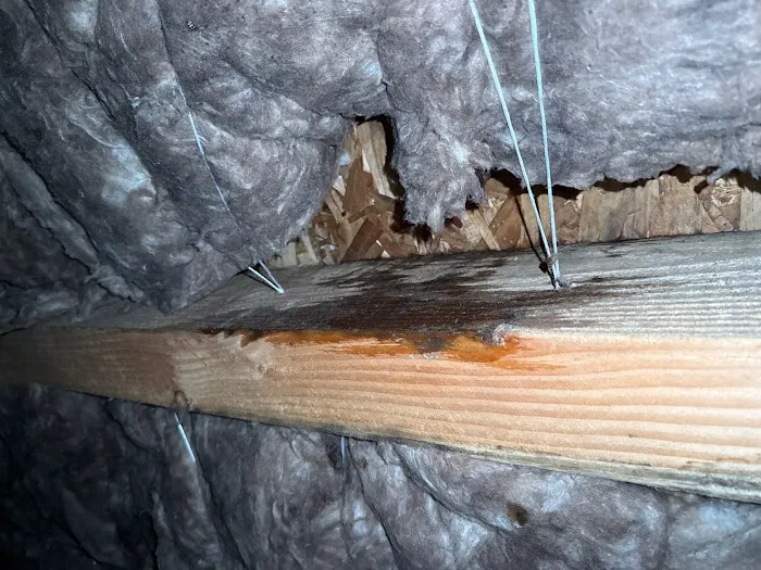 Hydro Heroes Experts Picture 8