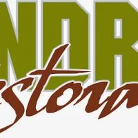 Sandrini Restoration ico