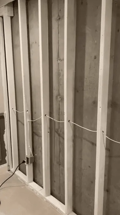 Experts of Tree City Picture 1