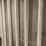 Experts of Tree City