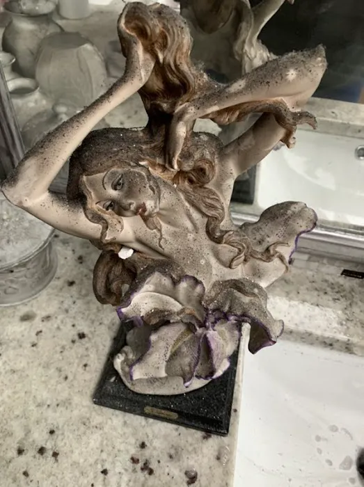 ServiceMaster 1st Choice Picture 4