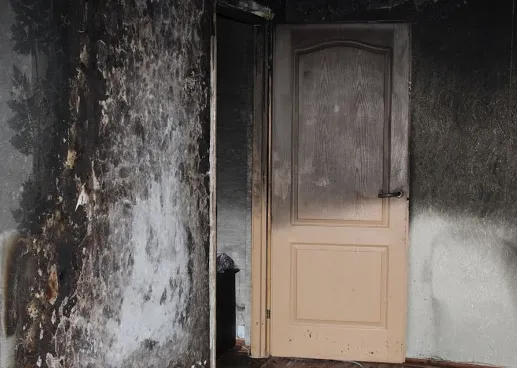 ServiceMaster 1st Choice Picture 5