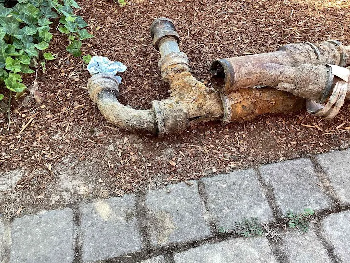 Mr. Rooter Plumbing Picture 5