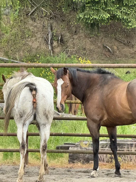 Advanced Waterproofing LLC Picture 1