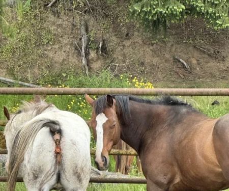 Advanced Waterproofing LLC