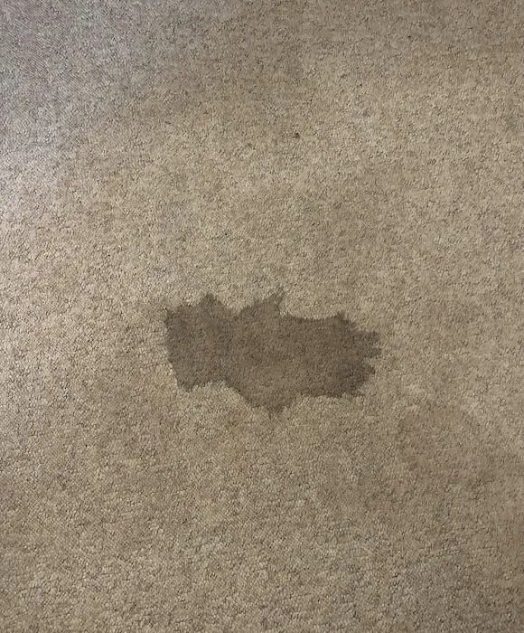 Woods Cleaning & Restoration Picture 8