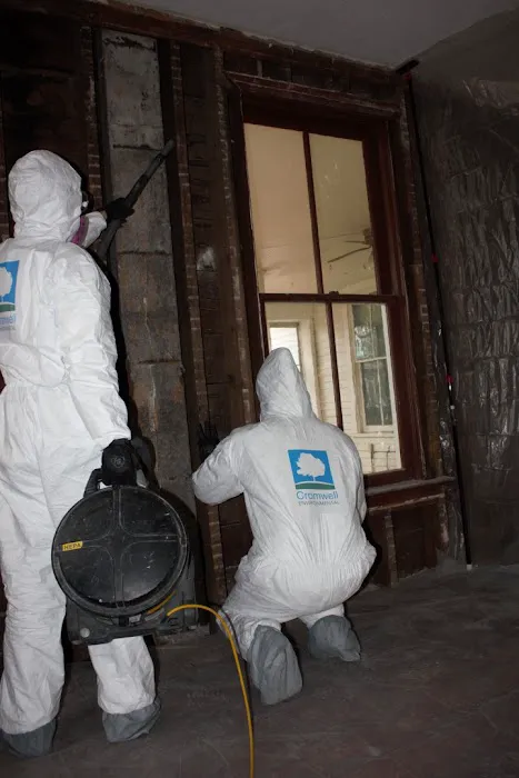 Cromwell Environmental Picture 6