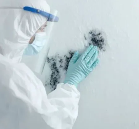 Shawnee County Remediation Picture 8