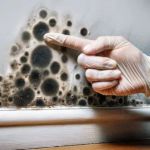 Shawnee County Remediation