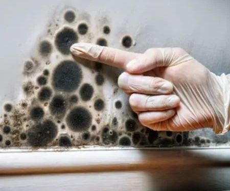 Shawnee County Remediation