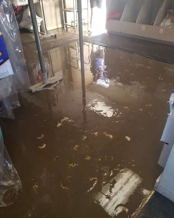 Chavez & Cleaning Picture 8