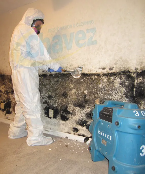 Chavez & Cleaning Picture 6