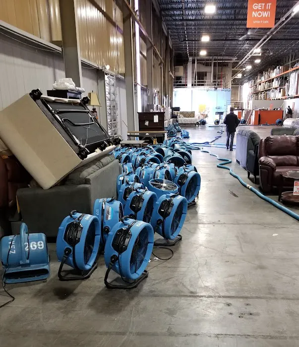 Chavez & Cleaning Picture 5