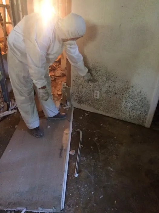 Murphree Restoration & Cleaning Picture 6