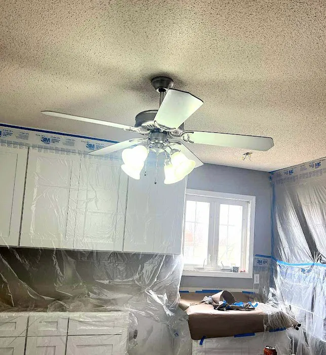 Jayco Pro Painting Picture 2