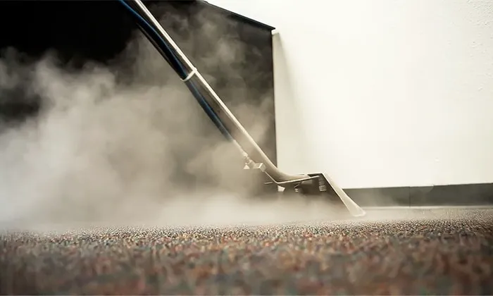 Steam Power Carpet and Air Duct Cleaning Picture 2