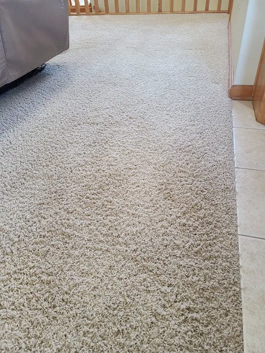 Steam Power Carpet and Air Duct Cleaning Picture 3