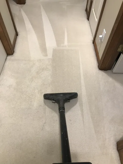 Steam Power Carpet and Air Duct Cleaning Picture 5