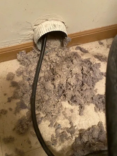 Steam Power Carpet and Air Duct Cleaning Picture 7